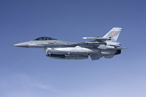 Posterazzi Lockheed Martin F-16 Fighting Falcon of the Polish Air Force Poster Print 17 x 11