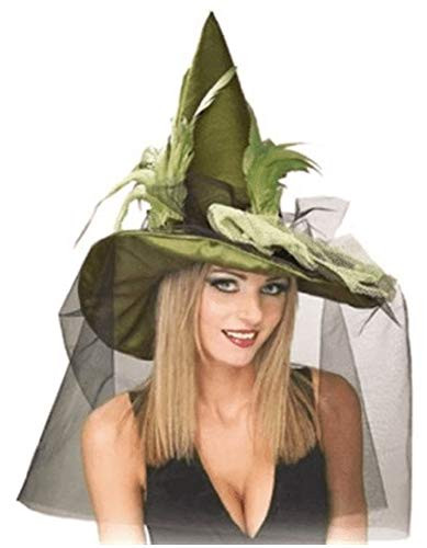 Rubies Costume Co Grn Witch with Feathr  Veil Costume