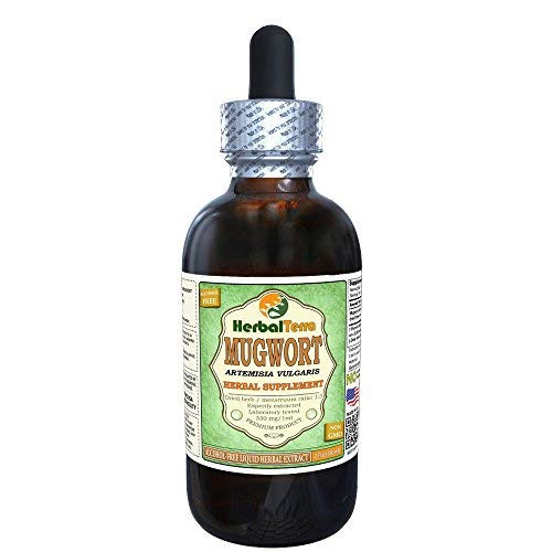 HerbalTerra Mugwort Artemisia Vulgaris Glycerite Organic Dried Flowers Alcohol-Free Liquid Extract 2 oz