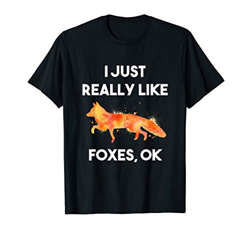 Fox Lover Gift I Just Really Like Foxes Ok Funny T-Shirt