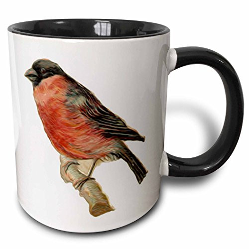 3dRose 104659_4 Vintage Perched Red Robin Bird Illustration Two Tone Mug 11 oz Black/White