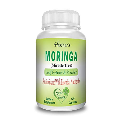Immunity Booster Hassnars Moringa Oleifera 120 Capsules -100 Pure Leaf Extract   Powder - 2600 mg Per Serving - Miracle Tree Malunggay Abundant in Vitamins Minerals and Amino Acids