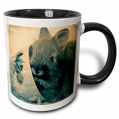 3dRose mug_11408_4 Lionhead Bunny And Teacup Digital Art By - Two Tone Black Mug, 11oz, Multicolored 3dRose mug_11408_4 Lionhead Bunny And Teacup Digital Art By - Two Tone Black Mug, 11oz, Multicolored
