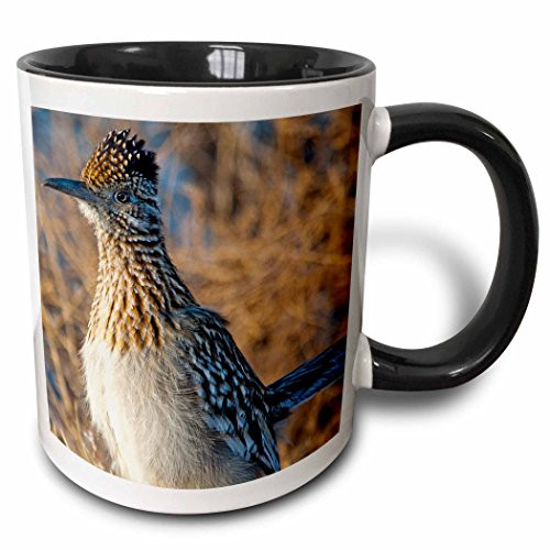 3dRose mug_92596_4"Roadrunner bird, Bosque del apache NWR, New Mexico - US32 CHA0044 - Chuck Haney" Two Tone Mug, 11 oz, Black/White