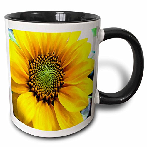 3dRose mug_62400_4 "Painted Sunflower" Two Tone Black Mug, 11 oz, Multicolor 3dRose mug_62400_4 "Painted Sunflower" Two Tone Black Mug, 11 oz, Multicolor