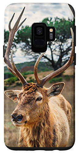 Galaxy S9 Beautiful White-Tail Deer Buck Photo Phone Case