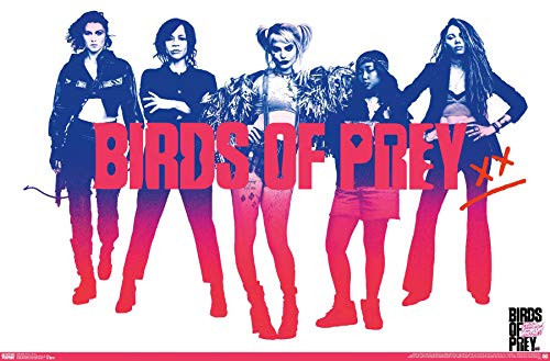 Trends International DC Comics Movie - Birds of Prey - Group Wall Poster 22_375 x 34 Premium Unframed Version