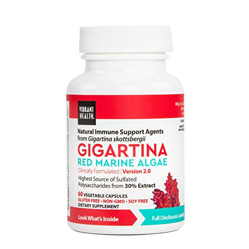 Vibrant Health Gigartina Red Marine Algae Plant-Based Immune Support Formula Vegetarian 60 capsules 15 servings Vibrant Health Gigartina Red Marine Algae Plant-Based Immune Support Formula Vegetarian 60 capsules 15 servings