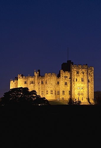 Posterazzi A Stone Building Illuminated At Night Poster Print 12 x 18