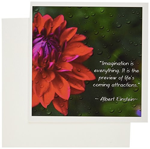3dRose An Inspirational print with a quote by Albert Einstein and a beautiful dahlia flower - Greeting Cards, 6 x 6 inches, set of 12 (gc_157332_2) 3dRose An Inspirational print with a quote by Albert Einstein and a beautiful dahlia flower - Greeting Cards, 6 x 6 inches, set of 12 (gc_157332_2)