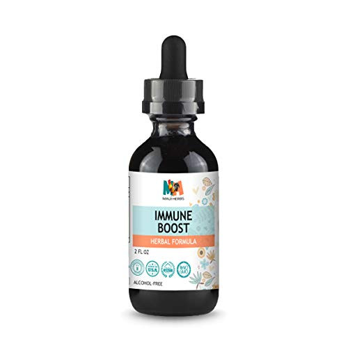 Immune Boost Herbal Formula 2oz Tincture Alcohol-Free Liquid Extract Echinacea Black Elderberry Goldenseal Ginger