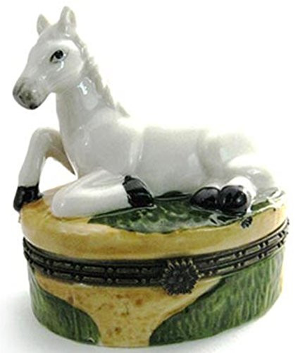 Art Gifts White Horse Pony Equestrian Hinged Trinket Box phb