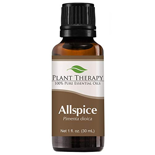 Plant Therapy Allspice Essential Oil 30 mL 1 oz 100 Pure Undiluted Therapeutic Grade Plant Therapy Allspice Essential Oil 30 mL 1 oz 100 Pure Undiluted Therapeutic Grade