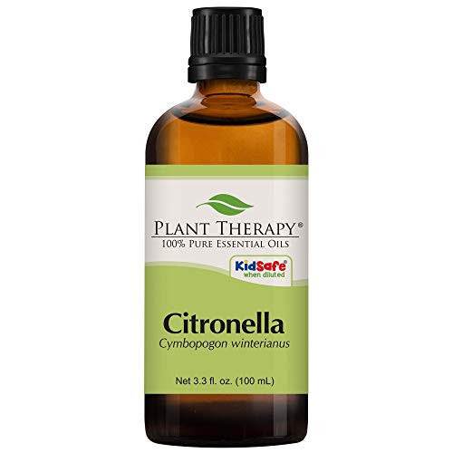 Plant Therapy Citronella Essential Oil 100 mL 3_3 Ounce 100 Pure Undiluted Therapeutic Grade Plant Therapy Citronella Essential Oil 100 mL 3_3 Ounce 100 Pure Undiluted Therapeutic Grade