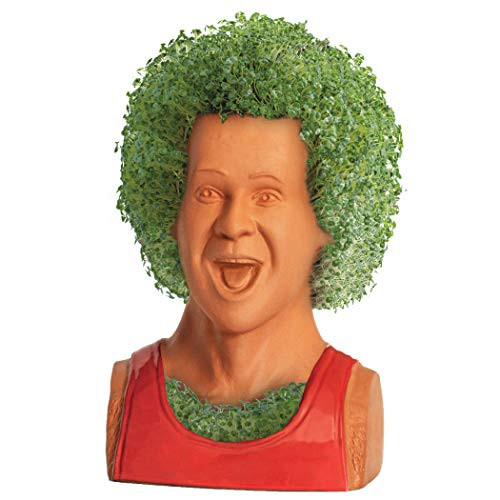 Chia Pet - Richard Simmons