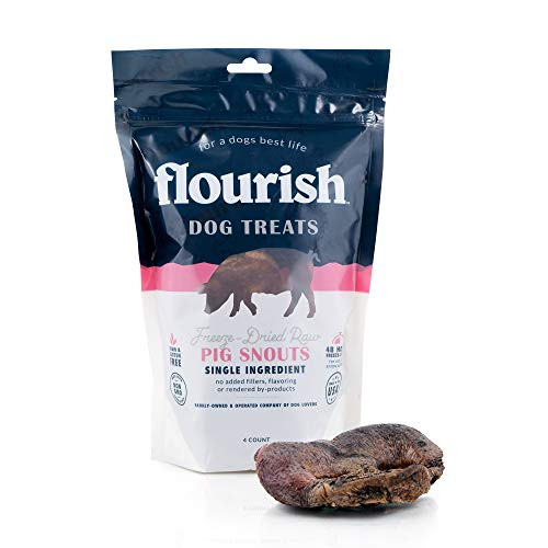 Freeze-Dried Raw Pet Treats for Dogs Pig Snout Chews 4 Count