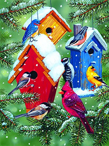 Winter Birdhouses 1000 pc Jigsaw Puzzle by SunsOut