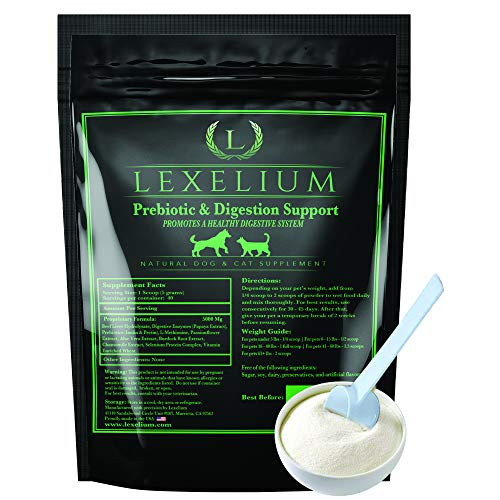 Digestion Supplement for Dogs Cats Helps with Constipation Sensitive Stomach Chronic Diarrhea Contains Valuable Digestive Enzymes Fiber Prebiotics Promotes Healthy Digestion 200 Grams Digestion Supplement for Dogs Cats Helps with Constipation Sensitive Stomach Chronic Diarrhea Contains Valuable Digestive Enzymes Fiber Prebiotics Promotes Healthy Digestion 200 Grams