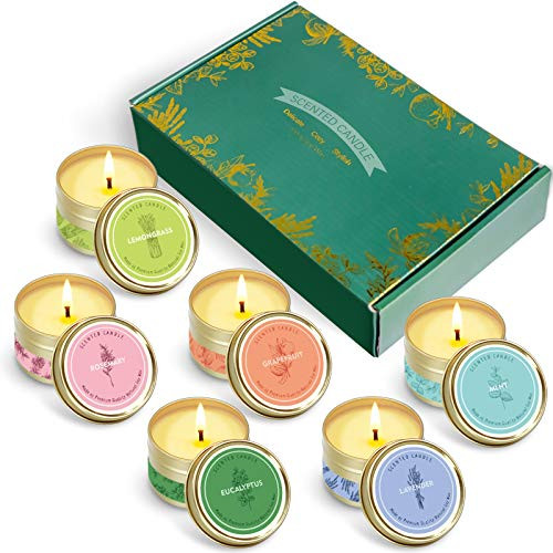 FIRIK Christmas Scented Candles Gift Set for Women Essential Oil Infused Soy Candles Natural Soy Wax Tin Candles Aromatherapy Scented Candles for Home FIRIK Christmas Scented Candles Gift Set for Women Essential Oil Infused Soy Candles Natural Soy Wax Tin Candles Aromatherapy Scented Candles for Home