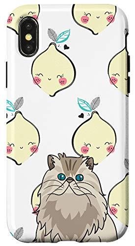 iPhone XXS Brown Cat Kawaii Lemon Smiling Pattern Animal Head Case