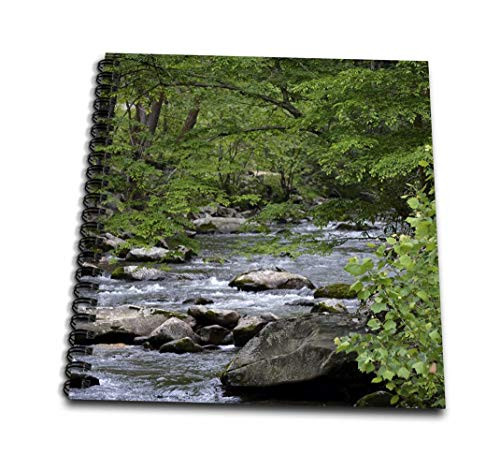 3dRose Smokey Mountain Photo of a Stream in The Smokies-Drawing Book 8 by 8-inch db-192976-1