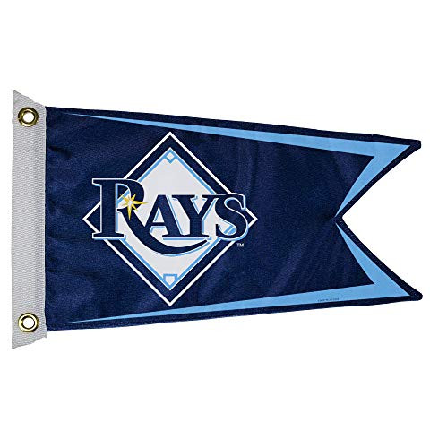 MLB Tampa Bay Rays Boat and Golf Cart Flag