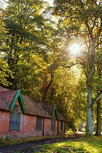 Posterazzi Sunlight Shines Through The Trees Onto The Grass Beside A Brick Building Durham England Poster Print 12 x 19