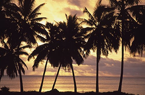 Posterazzi Sunset Palm Trees In Silhouette Aitutaki Cook Islands Poster Print 19 x 12 Posterazzi Sunset Palm Trees In Silhouette Aitutaki Cook Islands Poster Print 19 x 12