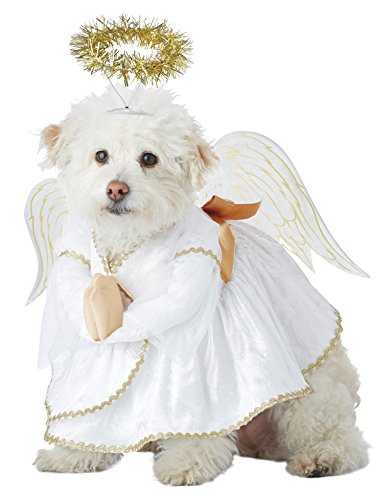 California Costumes Pet Heavenly Hound Dog Costume