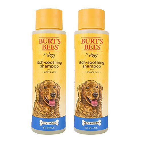 Burts Bees For Dogs Natural Itch Soothing Shampoo with Honeysuckle  Anti-Itch Dog Shampoo 16 Ounces - 2 Pack