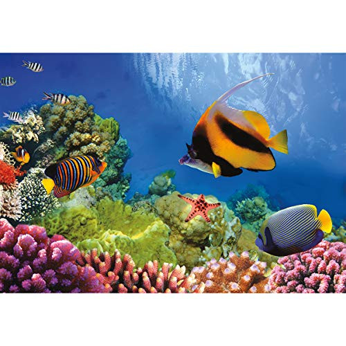 Coral Reef 1000 Piece Photographic Jigsaw Puzzle