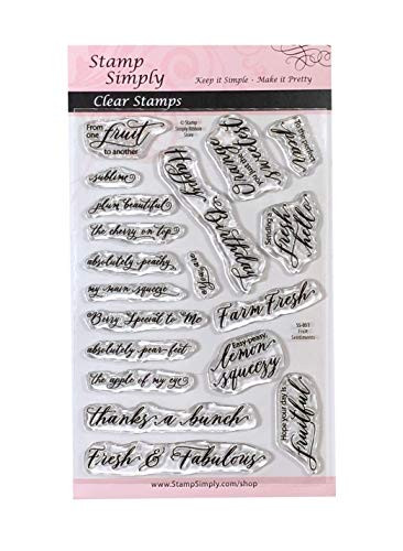 Stamp Simply Clear Stamps Fruit Sentiments Christian Religious 4x6 Inch Sheet - 19 Pieces