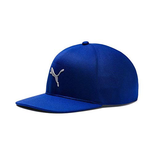 Puma Golf 2018 Mens Evoknit Pro Hat Mens LXL Surf The Web