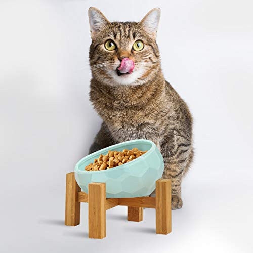 Ceramic Dog Bowl Raised Cat Bowl Slanted Cat Dish with Wood Stand Pet Food Water Feeder No Spill Pet Feeding Bowls Tilted Cat Dog Basic Bowl Light Blue Ceramic Dog Bowl Raised Cat Bowl Slanted Cat Dish with Wood Stand Pet Food Water Feeder No Spill Pet Feeding Bowls Tilted Cat Dog Basic Bowl Light Blue
