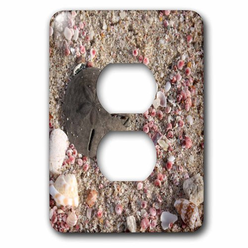 3dRose lsp_164781_6 Photo of Sand Dollar and Shells, Beach in Oman, Photo by Rhonda Albom 2 Plug Outlet Cover
