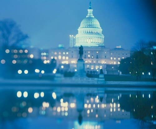 Government building lit up at night Capitol Building Washington DC USA Poster Print 9 x 27 Government building lit up at night Capitol Building Washington DC USA Poster Print 9 x 27