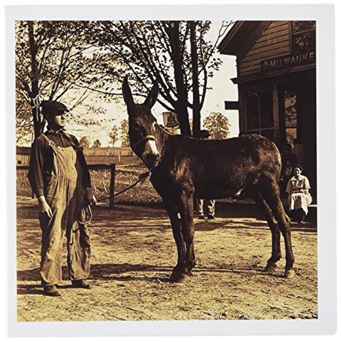 3dRose 1900 Man and a Mule in Milwaukee Sepia - Greeting Cards 6 x 6 inches set of 12 gc-16065-2