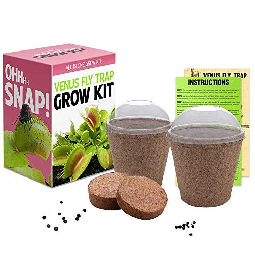 Venus Fly Trap Seeds Growing Kit - All in One Carnivorous Plant Growing Kit Gift Growing Chamber Germination Dionaea Muscipula Venus Fly Trap Seeds Growing Kit - All in One Carnivorous Plant Growing Kit Gift Growing Chamber Germination Dionaea Muscipula