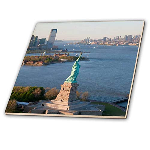 3D Rose Aerial of Statue of Liberty New York Multicolor
