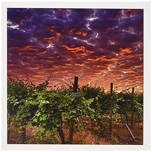 USA Washington Walla Walla wine country vineyard - Greeting Cards 6 x 6 inches set of 12 gc-148490-2 USA Washington Walla Walla wine country vineyard - Greeting Cards 6 x 6 inches set of 12 gc-148490-2