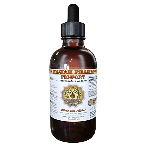 Figwort Scrophulara Nodosa Liquid Extract Tincture 2 oz Figwort Scrophulara Nodosa Liquid Extract Tincture 2 oz