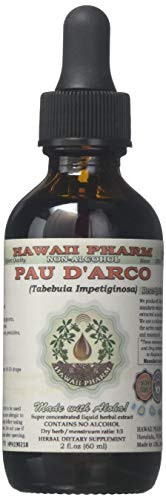 PAU darco Alcohol-Free Liquid Extract PAU darco Liquid Tabebuia impetiginosa Dried Bark Glycerite 2 oz