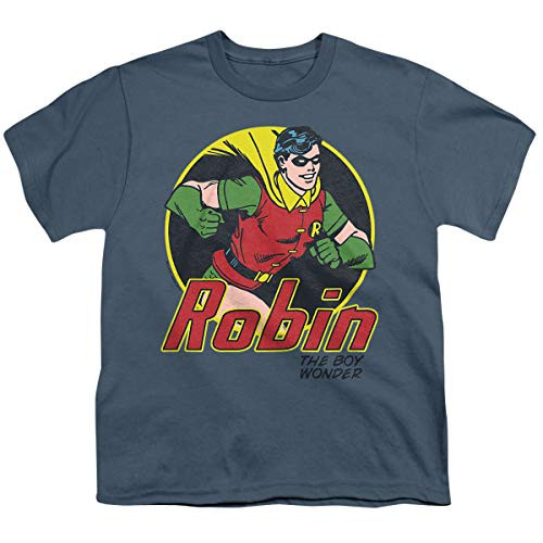 Youth DC-The Boy Wonder Kids T-Shirt Size YL