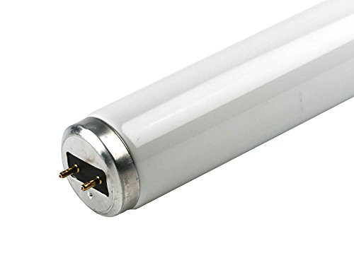 Sylvania 22529 - F25T12CW33 Straight T12 Fluorescent Tube Light Bulb Sylvania 22529 - F25T12CW33 Straight T12 Fluorescent Tube Light Bulb