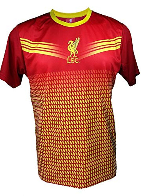 Liverpool F_C_ Soccer Official Adult Soccer Training Performance Poly Jersey -J005 Small Black