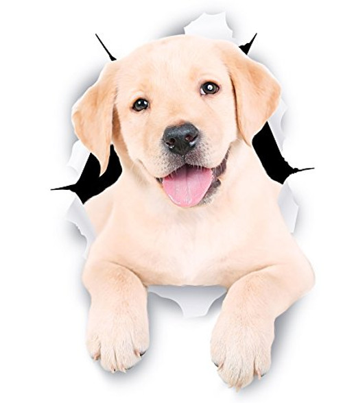 Winston & Bear 3D Dog Stickers - 2 Pack - Cute White Labrador Retriever Stickers for Wall, Fridge, Toilet and More - Retail Packaged White Labrador Stickers