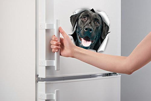 Winston & Bear 3D Dog Stickers - 2 Pack - Cute Black Labrador Retriever Stickers for Wall, Fridge, Toilet and More - Retail Packaged Black Labrador Stickers