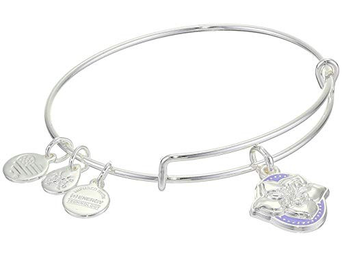 Alex and Ani Color Infusion Bangle Bracelet SilverWildflower One Size A20EBSP04SS Shiny Silver