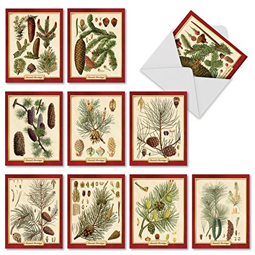 M10011XS Pining For Christmas: 10 Assorted Christmas Note Cards Showcasing Vintage Pine Cone Classification Images For The Holiday Season,w/White Envelopes.
