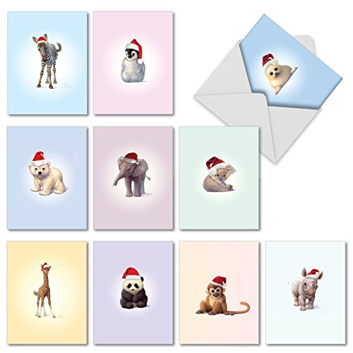 M6726XSG CHRISTMAS ZOO BABIES: 10 Assorted Christmas Note Cards: Assorted Christmas Cards With Envelopes.